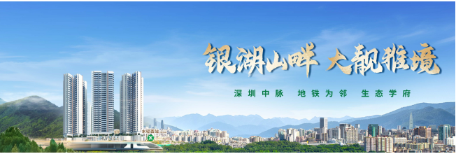 大靓华府
